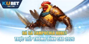 Đá Gà Campuchia KUBET Trực Tiếp Thomo Đỉnh Cao 2026 