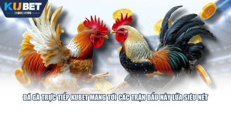 Đá gà trực tiếp KUBET mang tới các trận đấu nảy lửa siêu nét