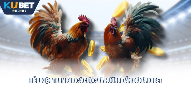 Điều kiện tham gia cá cược và hướng dẫn đá gà KUBET