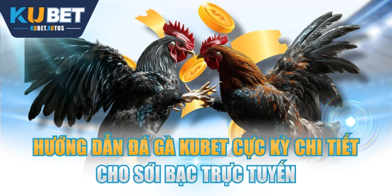 Hướng Dẫn Đá Gà KUBET Cực Kỳ Chi Tiết Cho Sới Bạc Trực Tuyến