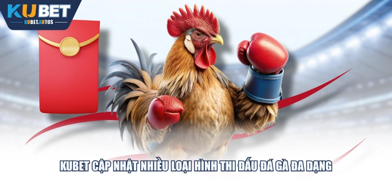 KUBET cập nhật nhiều loại hình thi đấu đá gà đa dạng
