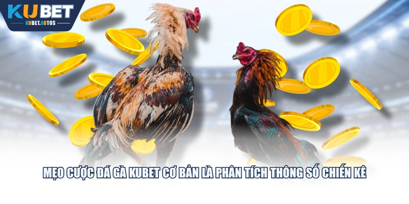 Mẹo cược đá gà KUBET cơ bản là phân tích thông số chiến kê