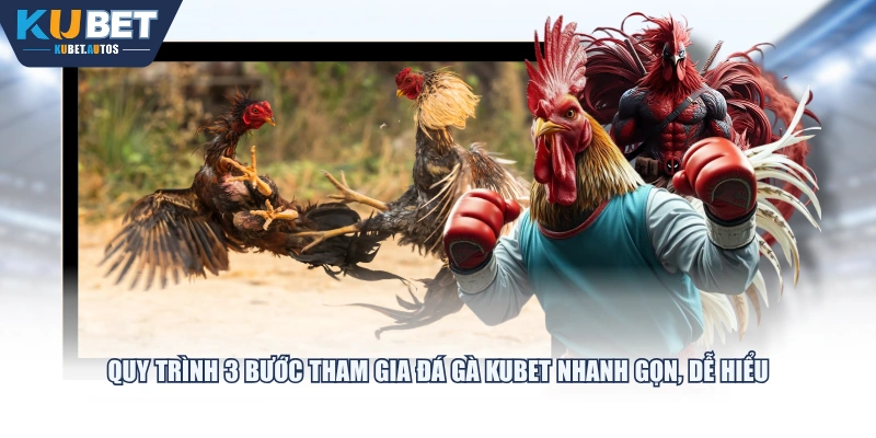 Quy trình 3 bước tham gia Đá Gà KUBET nhanh gọn, dễ hiểu