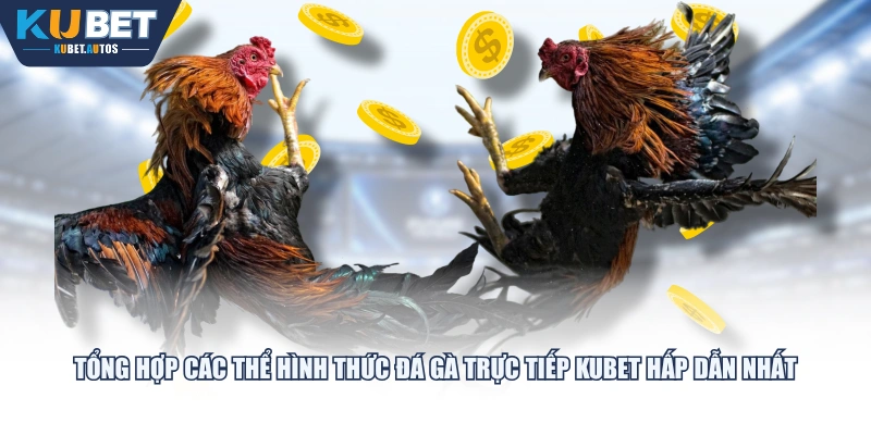 Tổng hợp các thể hình thức đá gà trực tiếp KUBET hấp dẫn nhất