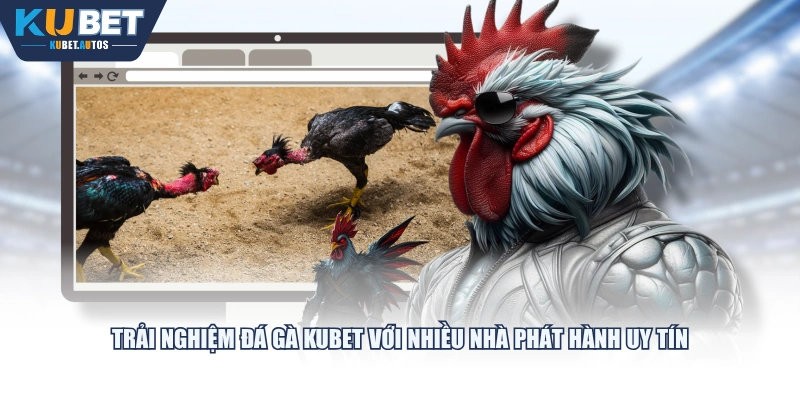 Trải nghiệm Đá Gà KUBET với nhiều nhà phát hành uy tín